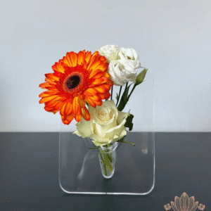 Clear Acrylic Frame Vase
