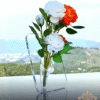 Clear Acrylic Frame Vase